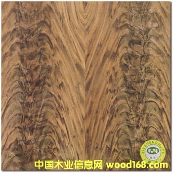 【廣新盛】天然黑胡桃叉木皮飾面膠合板的詳細介紹