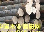 落葉松的詳細介紹