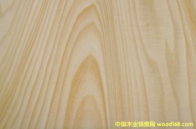 椴木貼面木皮的詳細(xì)介紹