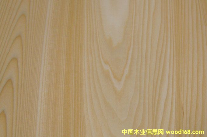 實(shí)木椴木木皮的詳細(xì)介紹
