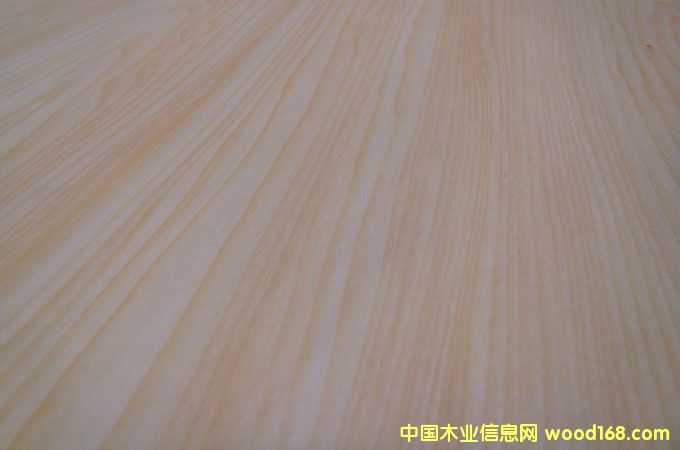 椴木異型木皮的詳細(xì)介紹