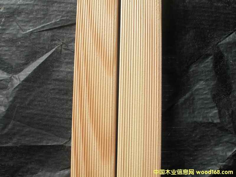 拉絲地龍骨的詳細介紹