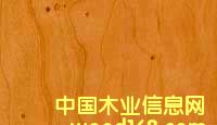 櫻桃木的詳細介紹