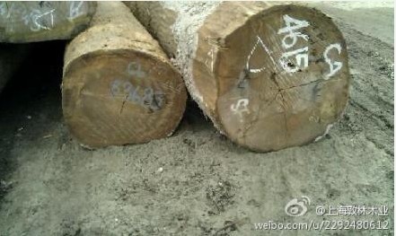 冰糖果的詳細介紹