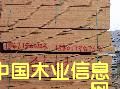 鐵杉的詳細(xì)介紹