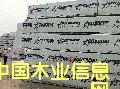 鐵杉的詳細(xì)介紹