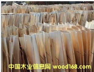 楊木單板的詳細介紹