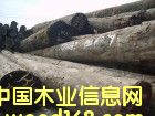 巴勞木的詳細介紹