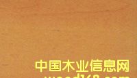 ̫ƽ(P.C. Maple)ԔB