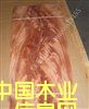 桃花芯樹杈的詳細介紹
