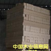 ϺбP_յԔB