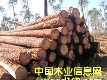 進口原木的詳細介紹