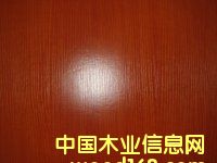 生態板
