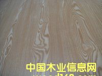 生態板