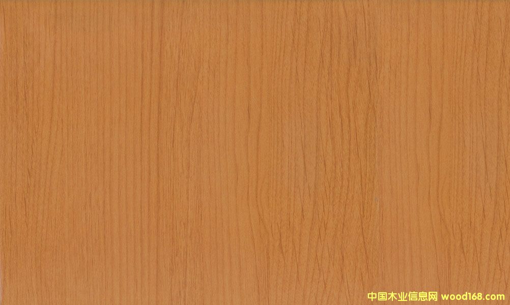 赤楊木的詳細介紹