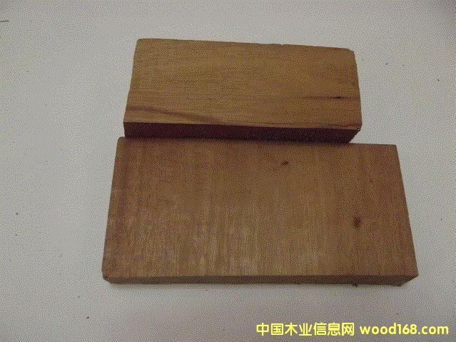 桃花芯木的詳細介紹