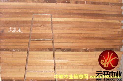 柚木的詳細介紹