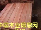 銀口木的詳細介紹