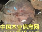 紫羅蘭的詳細介紹