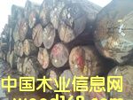 紅柳桉的詳細介紹