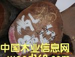 米仔蘭的詳細介紹