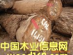 冰糖果的詳細介紹