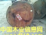 巴蒂的詳細介紹