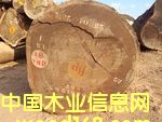 奧坎的詳細介紹