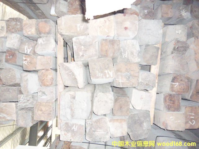 酸枝木的詳細介紹