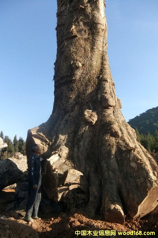 ľԔB