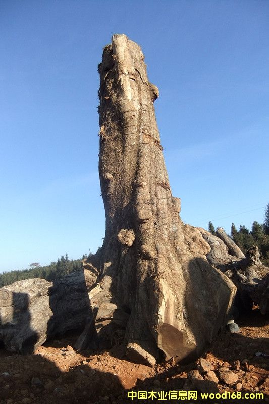 ľԔB