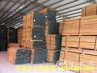 白橡的詳細介紹