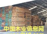 漆木的詳細介紹