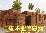 漆木的詳細介紹