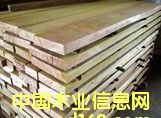 欖仁的詳細介紹