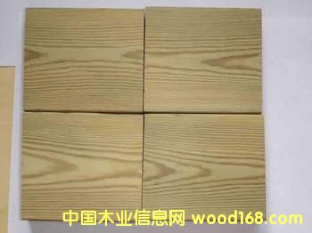 樟子松的詳細介紹