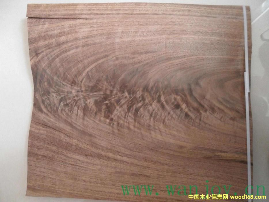 黑胡桃樹杈的詳細介紹