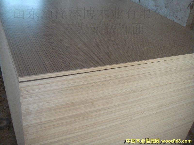 生態板的詳細介紹
