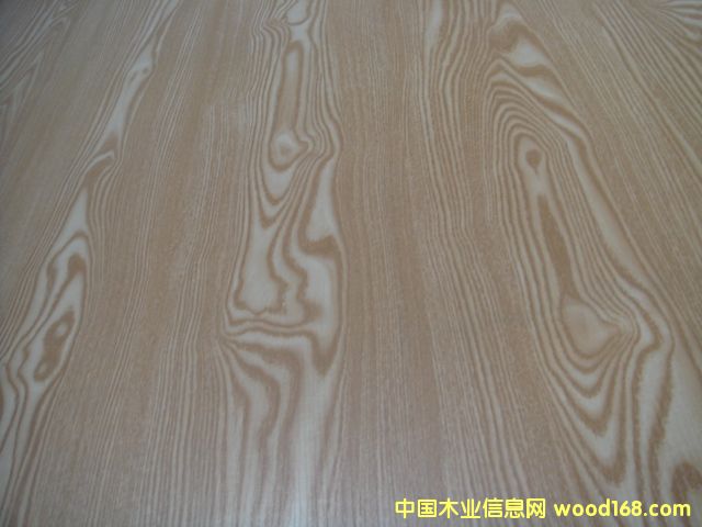 生態板的詳細介紹