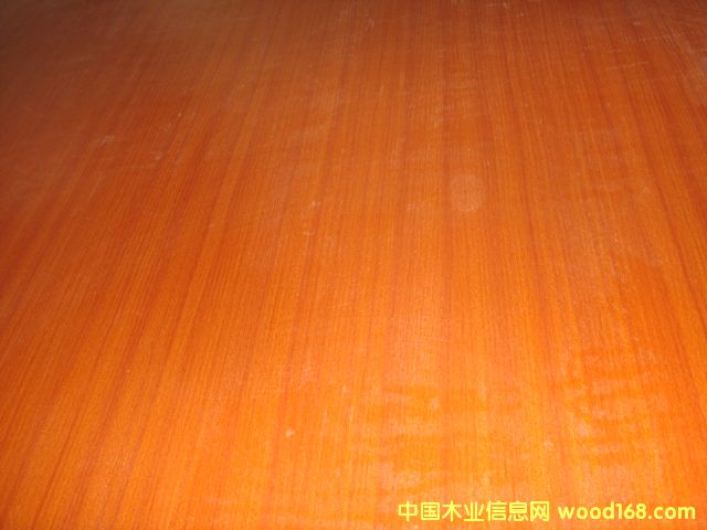 生態板的詳細介紹