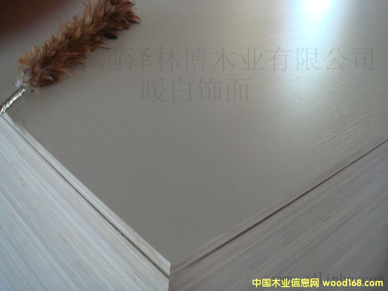 生態板的詳細介紹