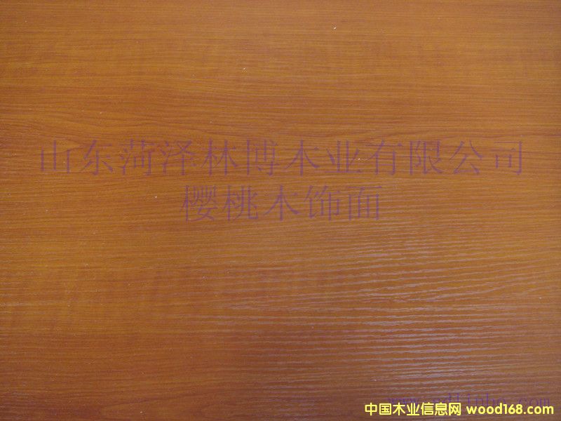 生態板的詳細介紹