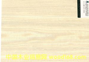 ח2506CԔ(x)B
