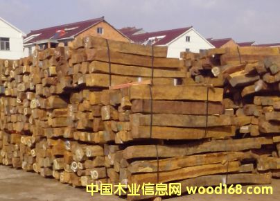 花枝的詳細介紹