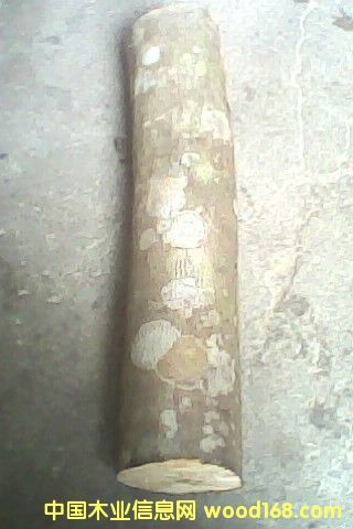 ˮ