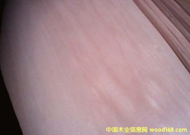 雜木等各種單板的詳細(xì)介紹
