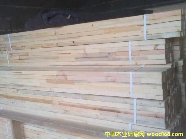 鐵杉的詳細介紹