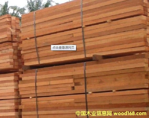 柳桉的詳細介紹