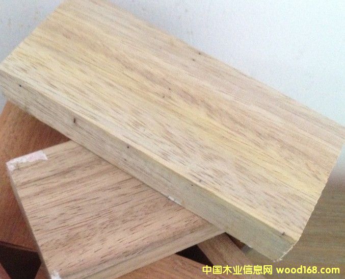 欖仁木的詳細介紹