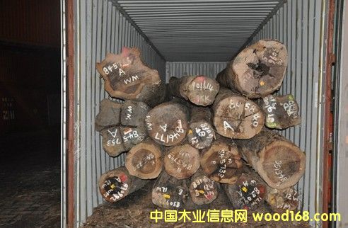 鐵木豆(南美酸枝)原木的詳細介紹